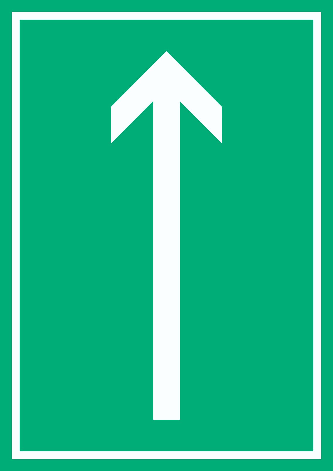 Richtungspfeil hoch Schild hochkant weiss grün Pfeil